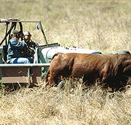 Bullo River Station - Tourism Caloundra