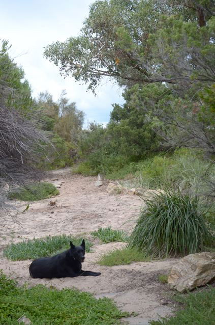 Dune Hideaway - Tourism Caloundra 3