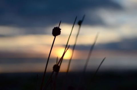 Dune Hideaway - Tourism Caloundra 8