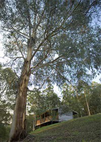 Loch Valley VIC Tourism Caloundra