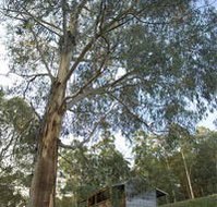 Outpost Restaurant - Tourism Caloundra