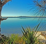 Eumarella Shores - Tourism Caloundra