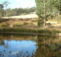 Kiah Nunyara Accommodation - Tourism Caloundra