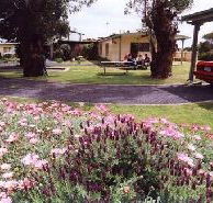Brigadoon Holiday Units - Tourism Caloundra