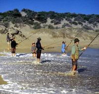 Flippers Beachouse - Tourism Caloundra