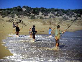 Flippers Beachouse - Tourism Caloundra 0