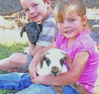 Mansfield Park - Tourism Caloundra