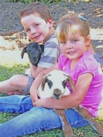 Sarina Motor Inn - Tourism Caloundra 0