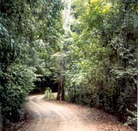 Mt Glorious Getaway Cottages And Conference Centre - Tourism Caloundra