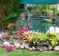 Daintree Wild Bed And Breakfast - Tourism Caloundra