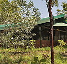 Arnhemland Barramundi Nature Lodge - Tourism Caloundra