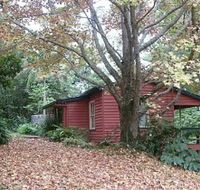 Turkeys Nest Rainforest Cottage - Tourism Caloundra