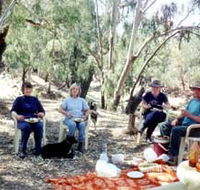 Bimbimbi And Little Hollow Farm Stay - Tourism Caloundra