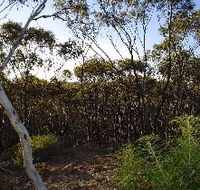 Lions Dryandra Woodlands Village - Tourism Caloundra