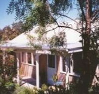 Murnong - Tourism Caloundra