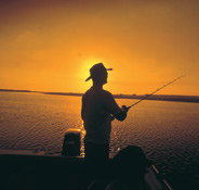 Point Stuart Wilderness Lodge - Tourism Caloundra