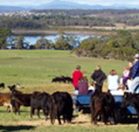 Bonny Brae - Tourism Caloundra