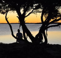  Willygunyah - Tourism Caloundra