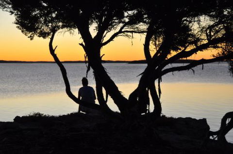  Willygunyah - Tourism Caloundra 0