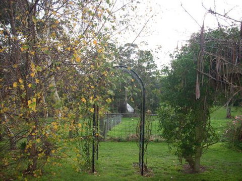 Whitelaw's Rest - Tourism Caloundra 1
