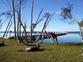 Waterfront Retreat At Wattle Point - Tourism Caloundra 0