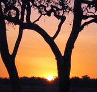 Coodardie Station Stay - Tourism Caloundra