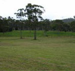 Mt White Lodge - Tourism Caloundra