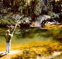 Markdale Homestead - Tourism Caloundra