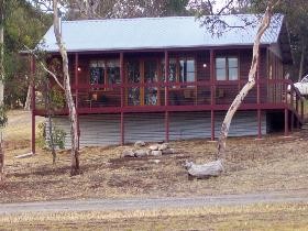 Ivybrook Vineyard Cottage - Tourism Caloundra 0
