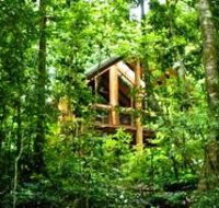 Fur'N'Feathers Rainforest Tree Houses - Tourism Caloundra