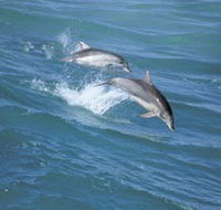 Seachange - Tourism Caloundra