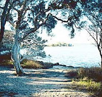 The Cove - Tourism Caloundra