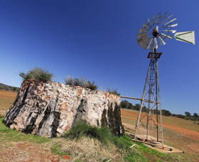 Miamoon ACT Tourism Caloundra