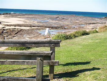 Pigeon House Motor Inn - Tourism Caloundra 24