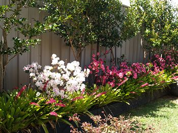 Pigeon House Motor Inn - Tourism Caloundra 28