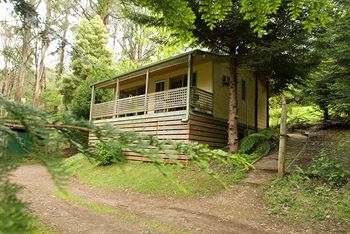 Hill 'N' Dale Farm Cottages - Tourism Caloundra 3