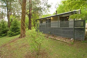 Hill 'N' Dale Farm Cottages - Tourism Caloundra 12