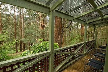 Hill 'N' Dale Farm Cottages - Tourism Caloundra 13