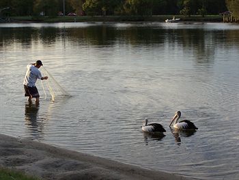Maroochy River Resort & Bungalows - Tourism Caloundra 6