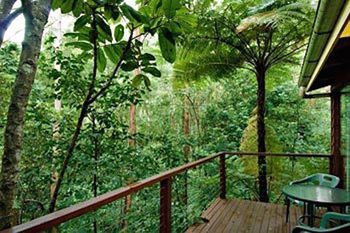 Kondalilla Eco Resort - Tourism Caloundra 2