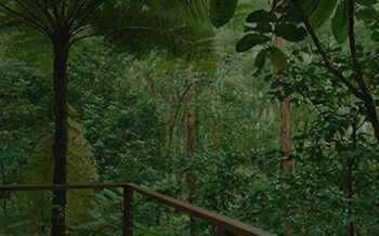 Kondalilla Eco Resort - Tourism Caloundra 7