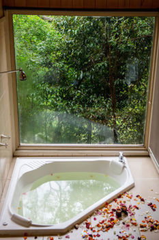 Kondalilla Eco Resort - Tourism Caloundra 17