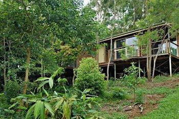 Kondalilla Eco Resort - Tourism Caloundra 22
