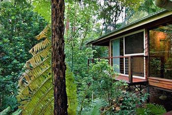 Kondalilla Eco Resort - Tourism Caloundra 23