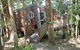 Kondalilla Eco Resort - thumb 27