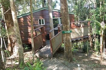 Kondalilla Eco Resort - Tourism Caloundra 27