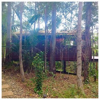 Kondalilla Eco Resort - Tourism Caloundra 32