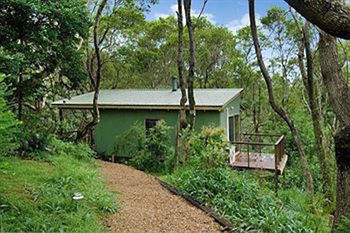 Kondalilla Eco Resort - Tourism Caloundra 34