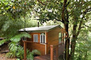 Kondalilla Eco Resort - Tourism Caloundra 35