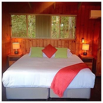 Kondalilla Eco Resort - Tourism Caloundra 42